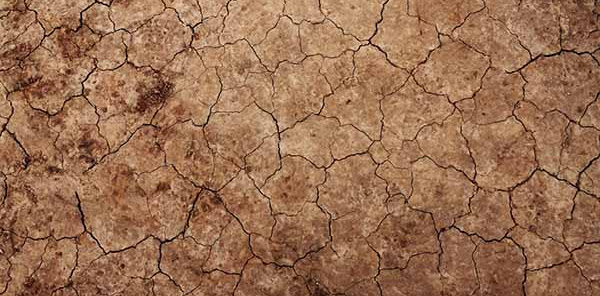 How to Treat Dry Facial Skin and Get Your Face Healthy How to Treat Dry Facial Skin and Get Your Face Healthy