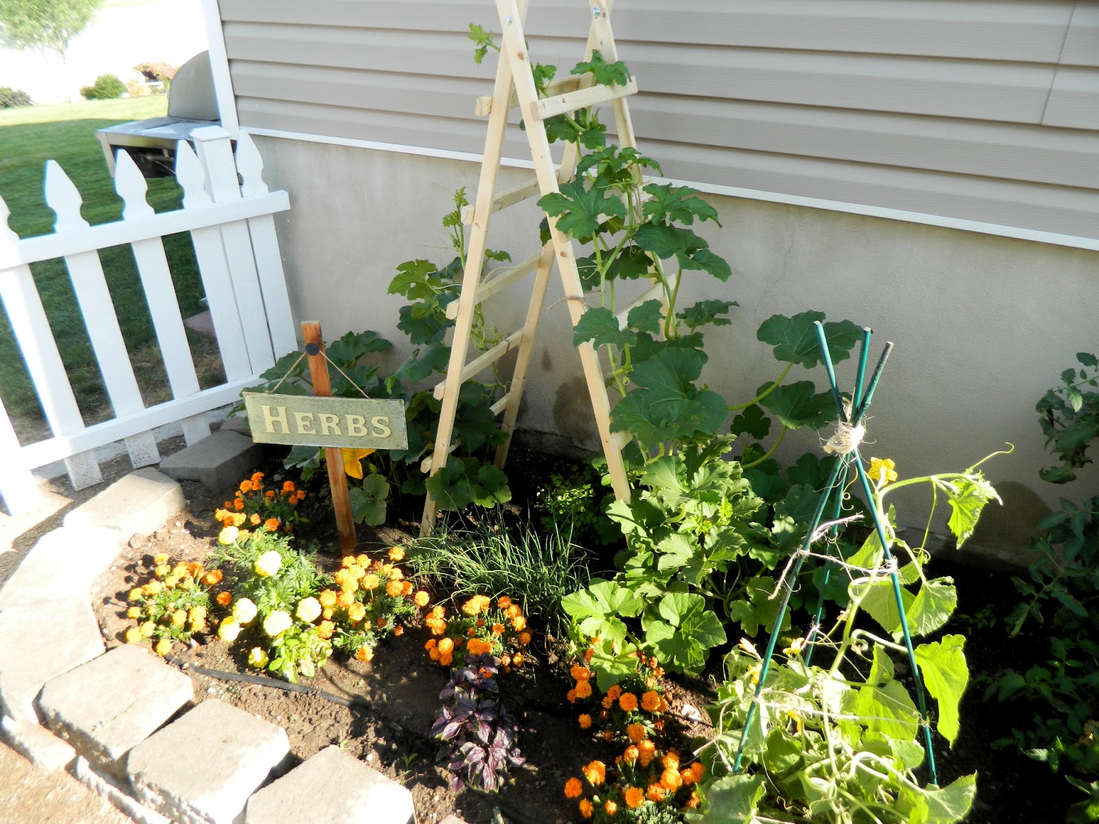 The House of Normandy Pumpkin Trellis