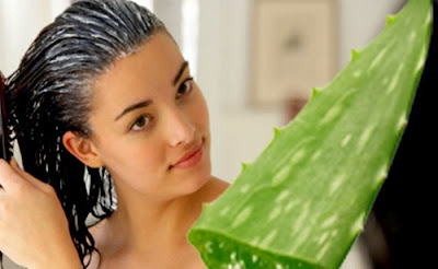 Cách trị rụng tóc đơn giản tại nhà hiệu quả và an toàn cho da đầu