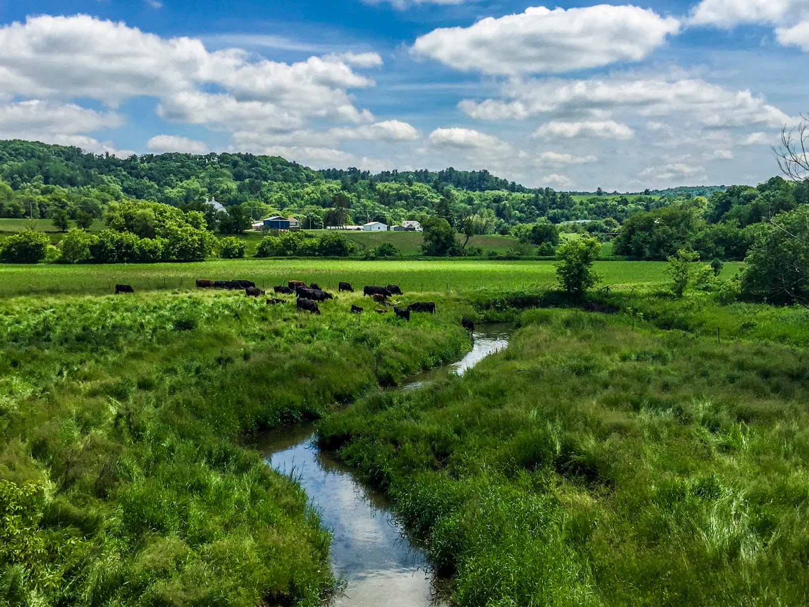 Elroy Sparta Bike Trail