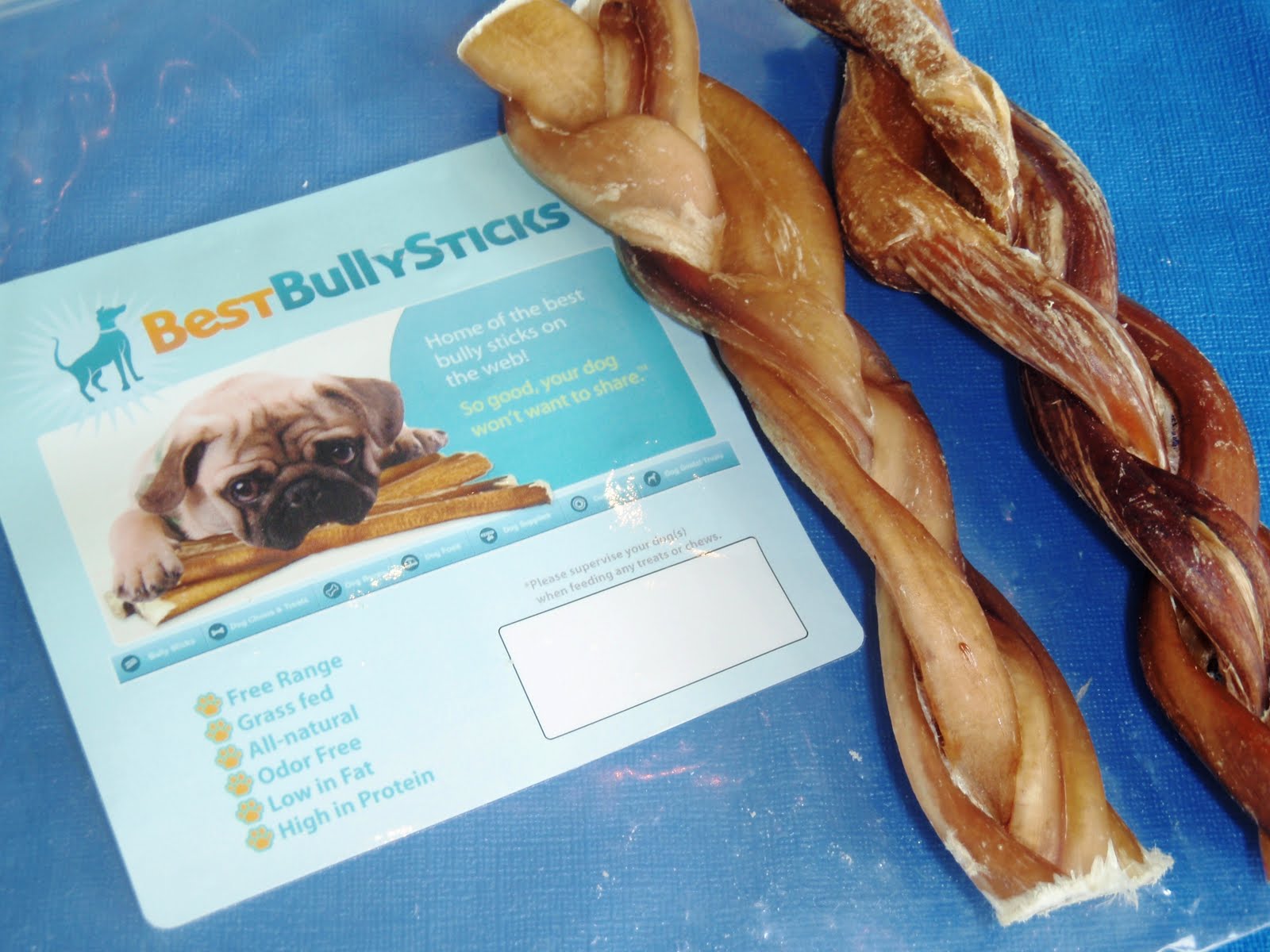 The Chronicles of Cardigan Antlers taste good! Bully sticks smell good!