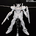 HG 1/144 Aile Strike Gundam Ver. RM