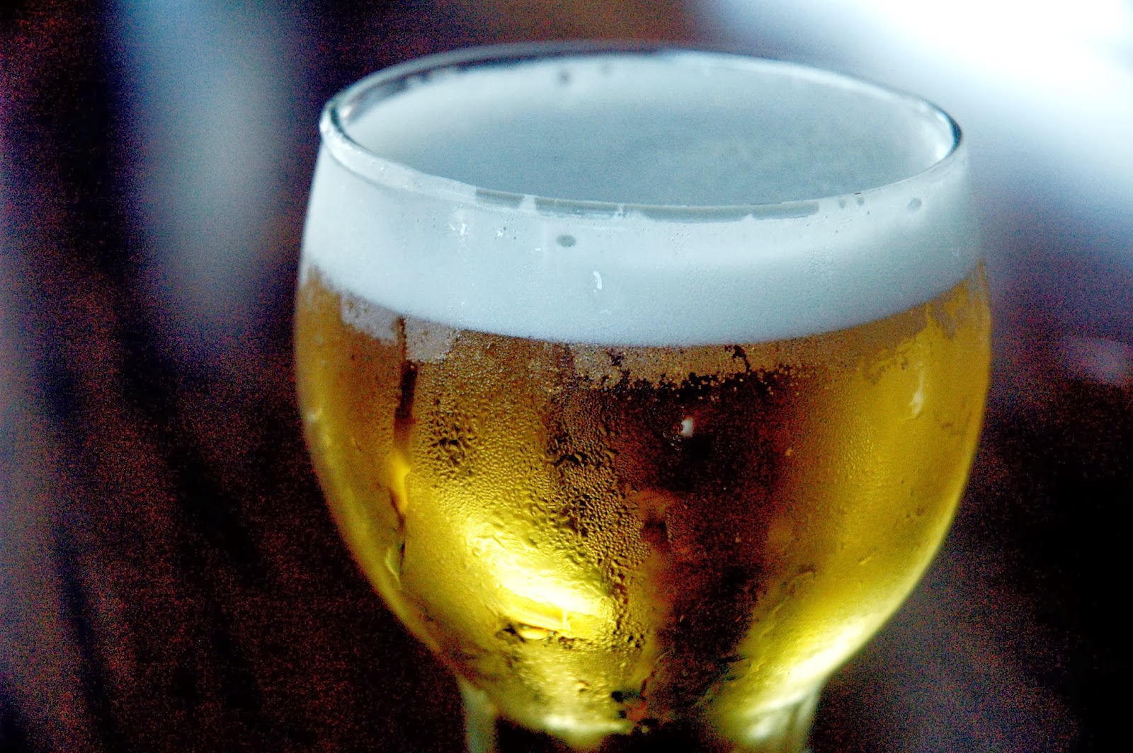 DUDE FOR FOOD A Cold Beer and Small Plates at Black Olive Cerveceria