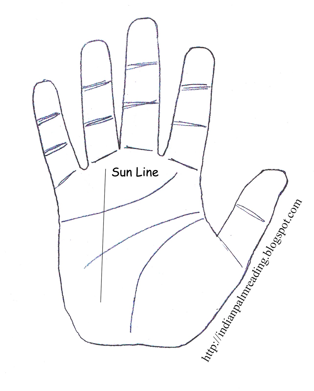 Palmistry How To Know Your Sun Line Is Good Or Bad INDIAN PALM