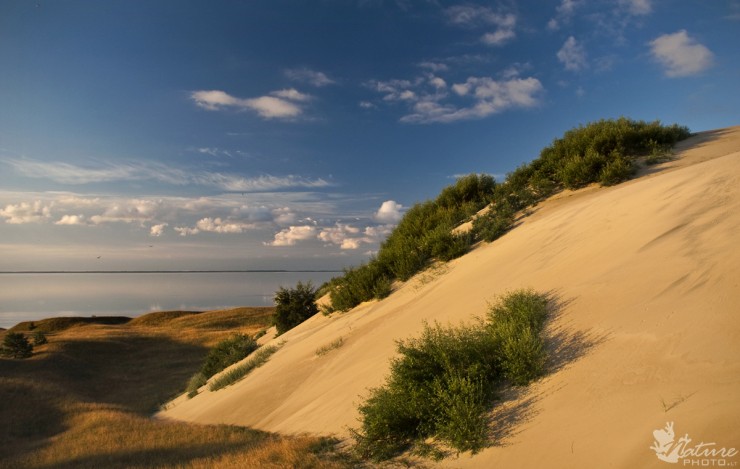 Top 10 Places to See in the Baltic States - The Curonian Spit, Lithuania