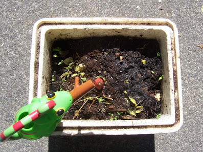 child-size compost with soil and yard waste inside and a small green watering can