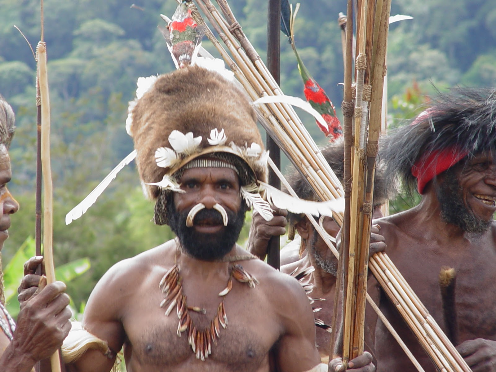 племя питающееся