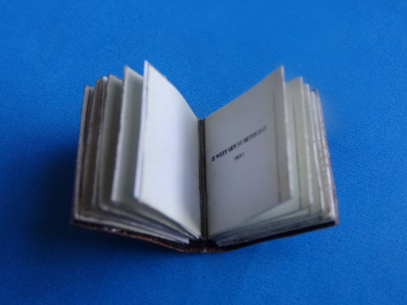 Thea's Miniatuurwereld: Het boek met alle antwoorden...