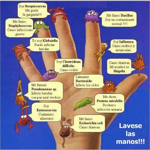 CONDICIONES EN LAS PERSONAS QUE MANIPULAN ALIMENTOS