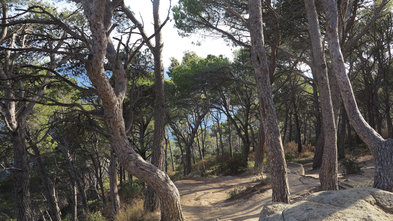 Palamós, day trip of coves and beaches | Midori's OBSESSIONS