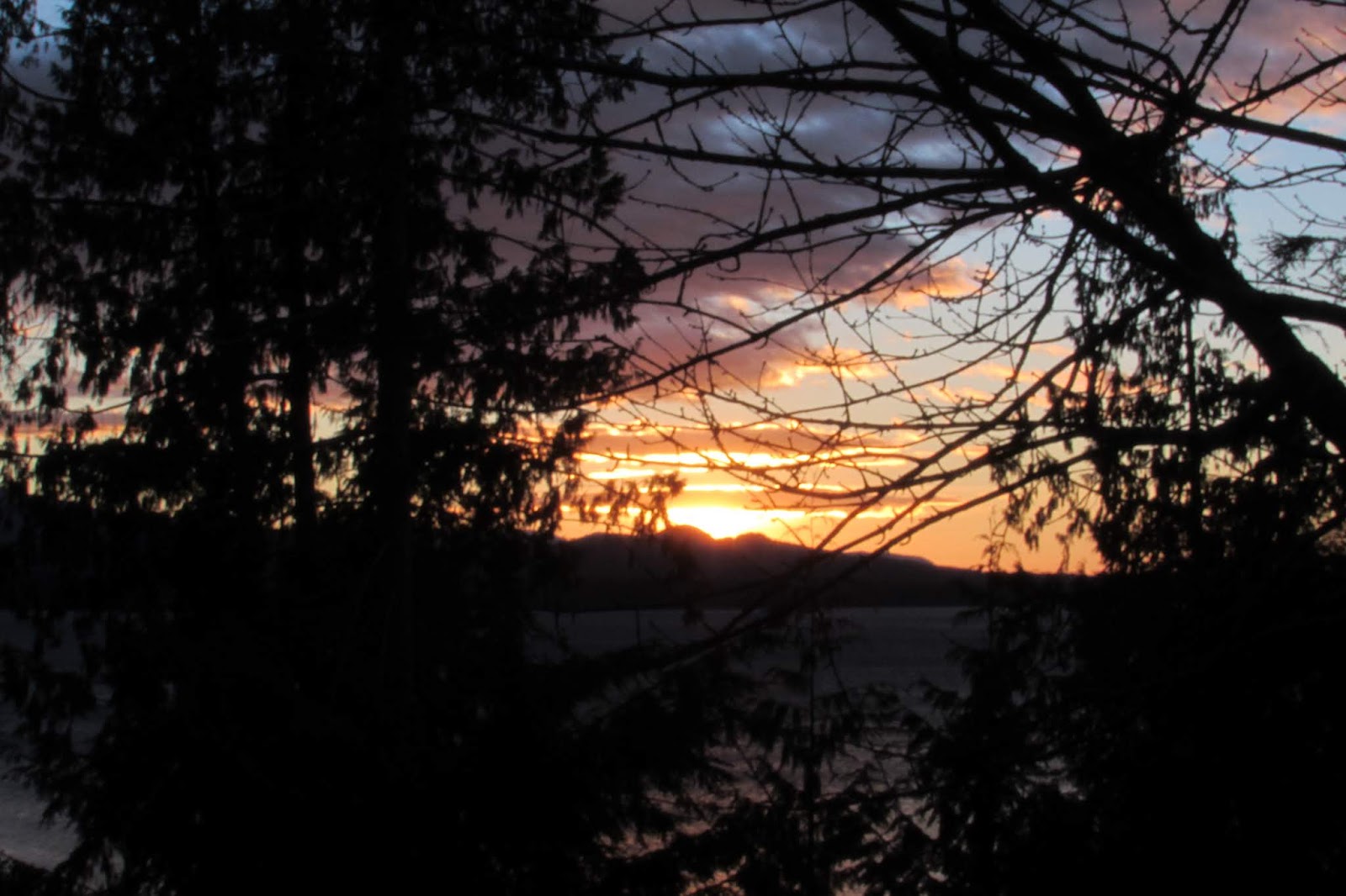 Waving at Strangers creating a new life in Sointula, BC. Winter in