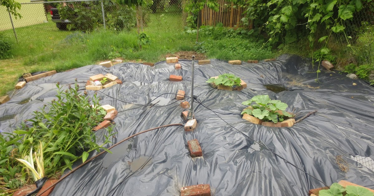 How Far Apart To Plant Rows In A Garden Garden Spacing How Far Apart Should Plants Be in Your