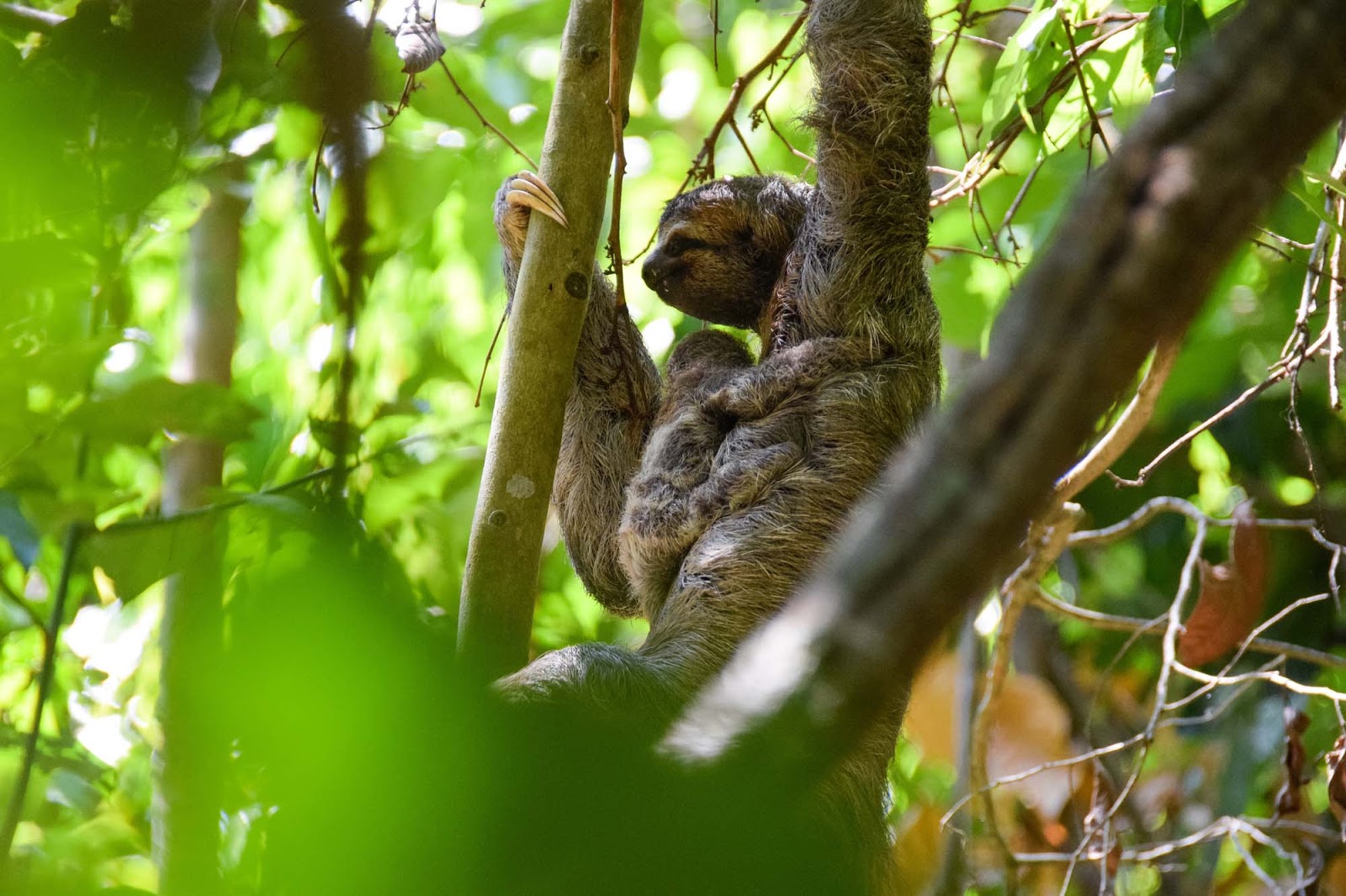 mother and baby cloth in costa rica