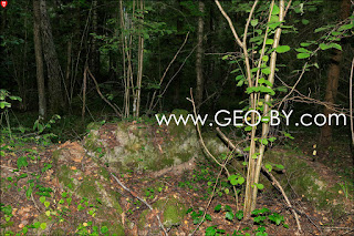 Руины седьмого немецкого бункера в лесу у Новоспасска