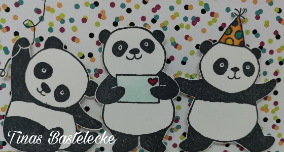 Noch Mehr Fur Coole Jungs Funky Panda Cheeky Racoon Und Cool