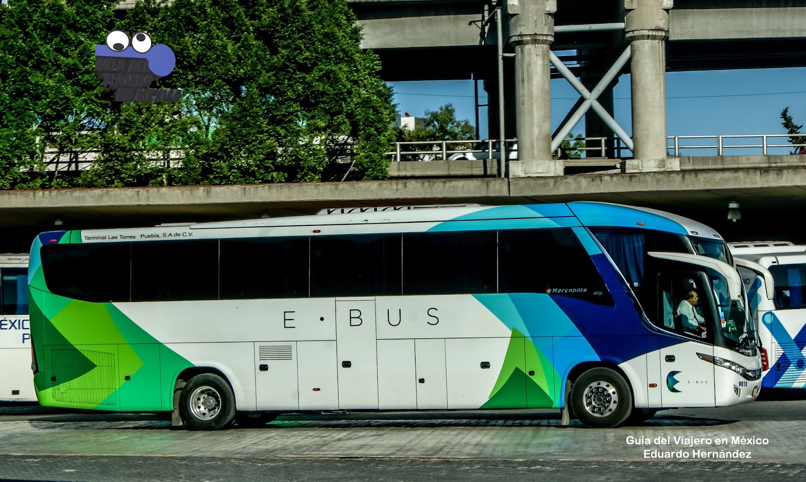 145 э автобус. E91 автобус. Автобус e609xm. Автобус e70. Хайфский Метронит Супербус e Bus.
