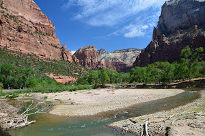 Zion Rocks (and water)