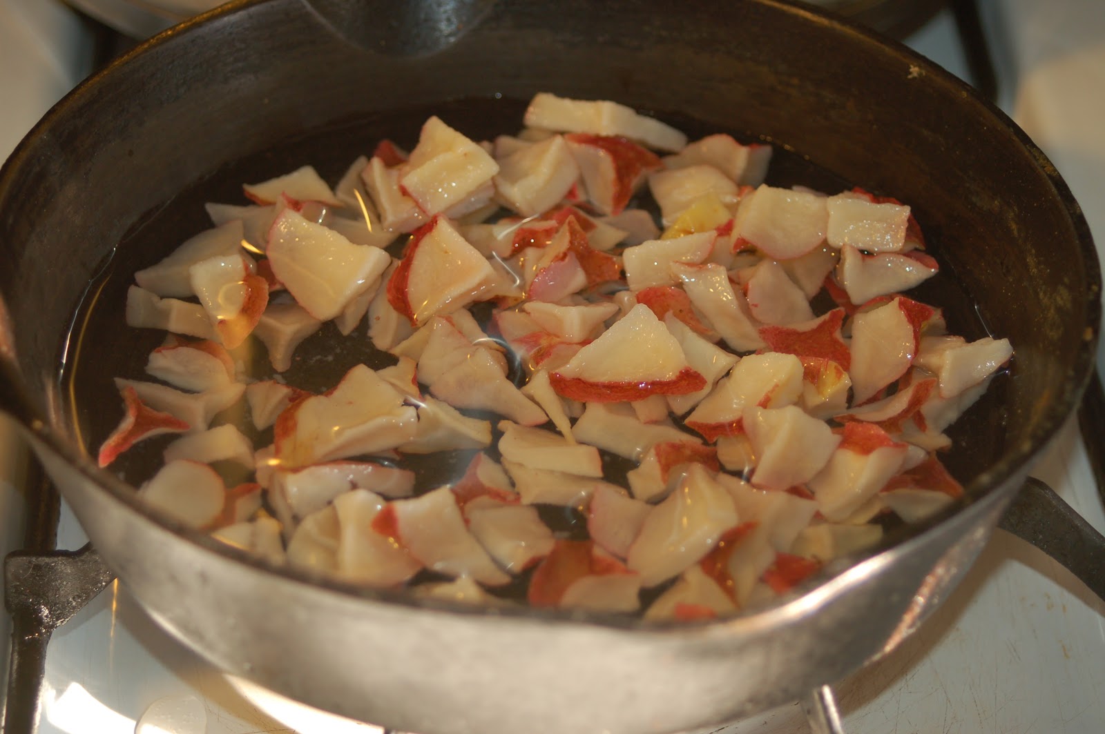 Dehydrating Way Beyond Jerky Dehydrated Parsley Potatoes