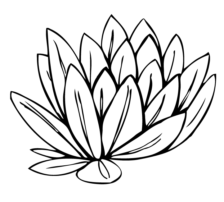 clipart water lily - photo #23