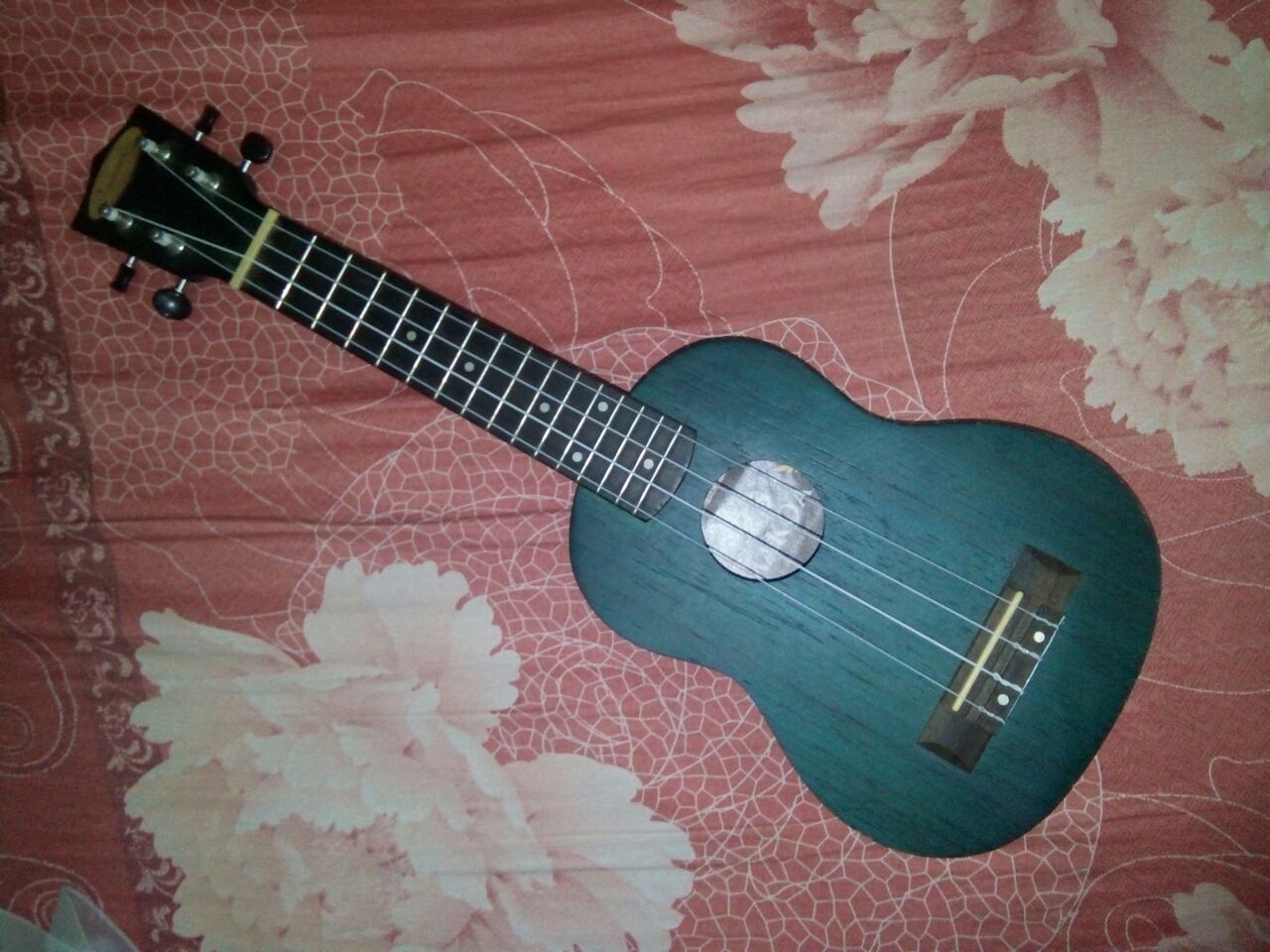 TIPS CEPAT BERMAIN UKULELE UNTUK PEMULA SURYA HADI BLOG