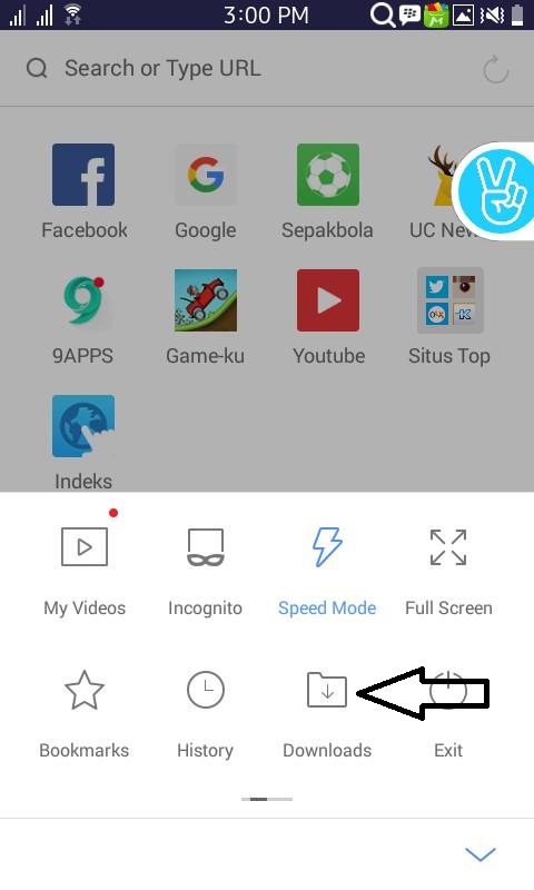 Download Bbm For Tizen Sekali