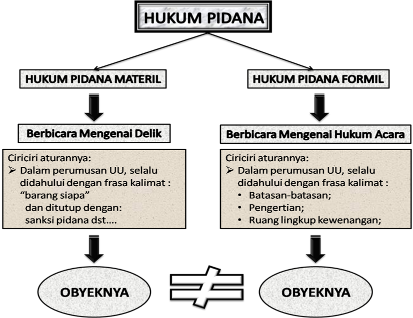 Ray Pratama Siadari, S.H.,M.H.: Cara Mudah Belajar Hukum 