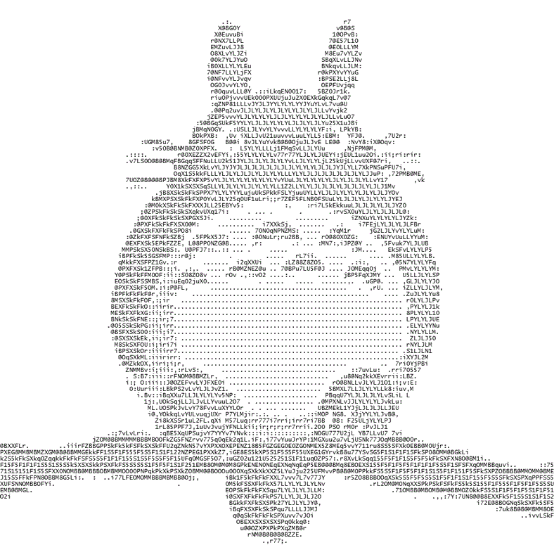 d6g11: Segundo Trimestre