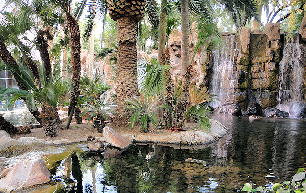 Left Field Wander: Flamingo Hotel Wildlife Habitat