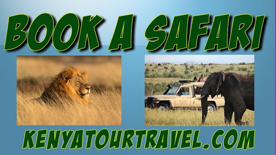 Kenya Tour Travel