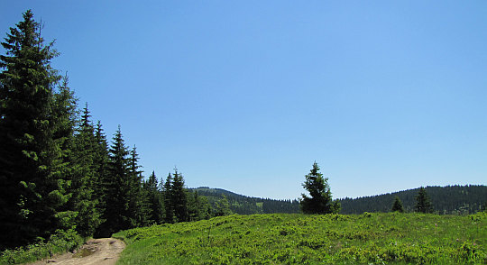 Widok spod Obidowca na Turbacz.