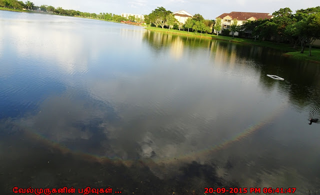 Rainbow Reflection Maimi