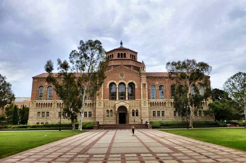 ucla università california