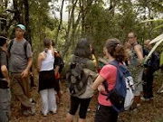 VOLUNTÁRIOS DO PNT