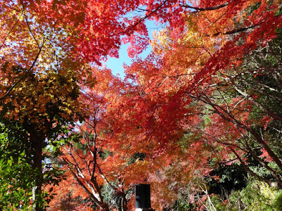 野崎観音・慈眼寺（じげんじ）の紅葉