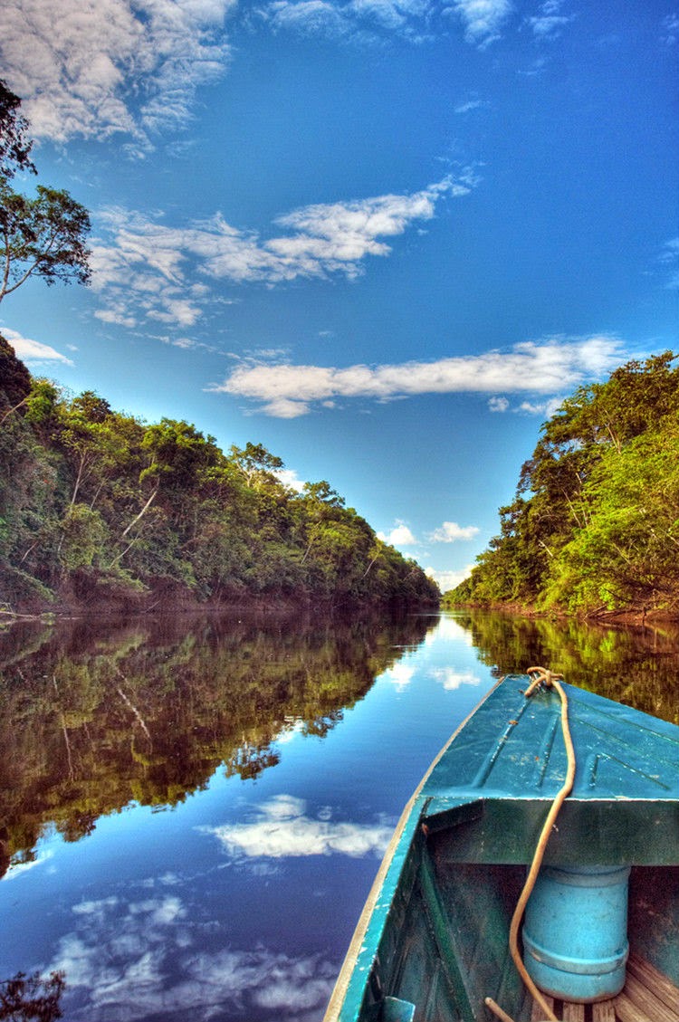 10 Fascinating Facts About the Amazon River