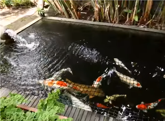 Rumah Klasik Mewah Rumah Klasik Mewah