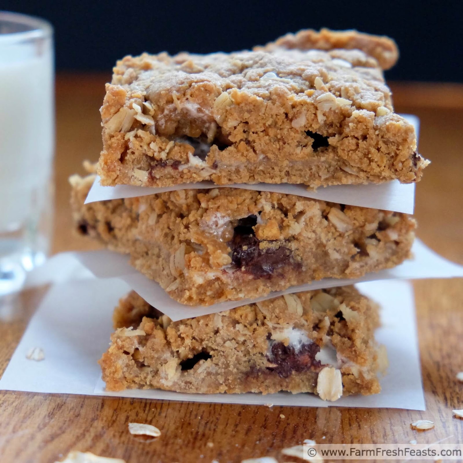 Peanut Butter Oatmeal Cookie Protein Balls - Feasting not Fasting