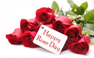 Download Happy Rose Day 2017 HD Images & Wallpaper Happy Rose Day 2017 HD Images & Wallpaper