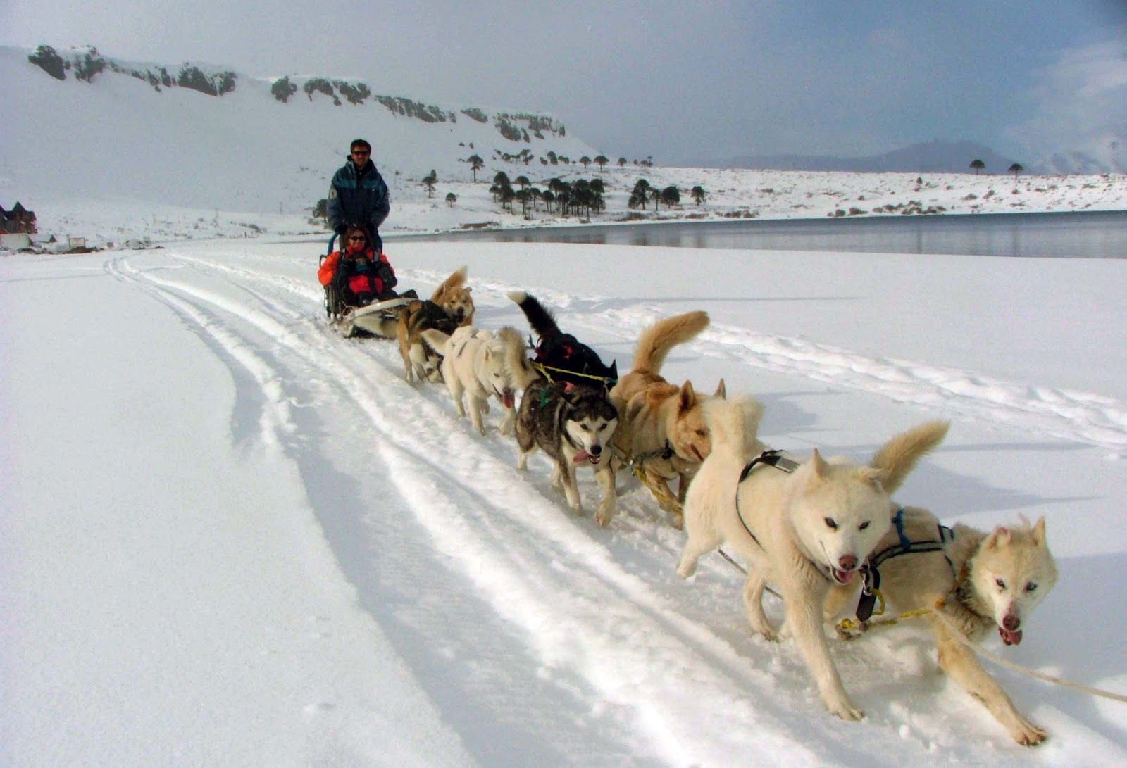 Ushuaia: motivos para salir a descubrir el Fin del Mundo