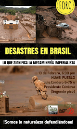 Foro: "Megadesastres mineros en Brasil"