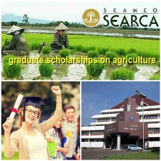 Beasiswa Dalam Negeri