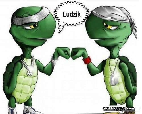 żółwik przywitanie ~ Śmieszne Obrazki i Gify