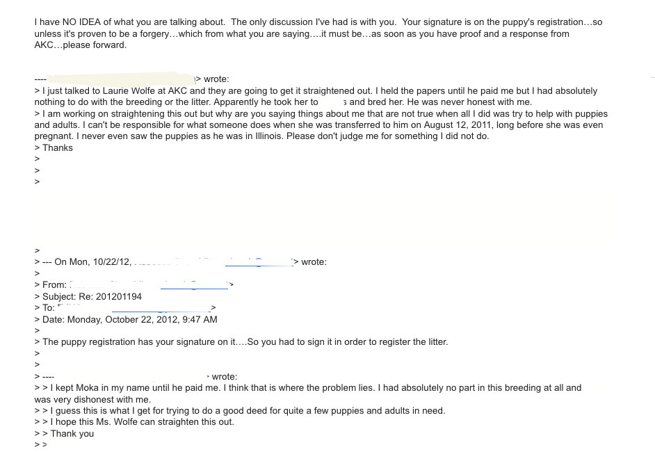 Maltese Angel Babies Blog AKC American Kennel Club Papers Reality