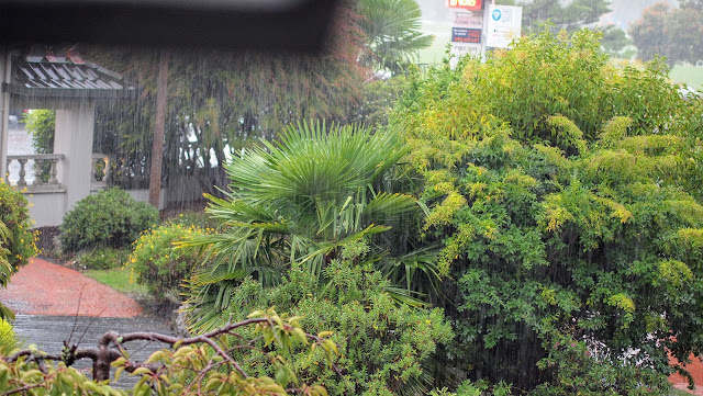 What to do in Nelson when it rains? Lashing rain near the Aloha Lodge
