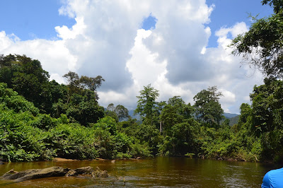 Wind Cave, Clear Water Cave, Lang Cafe dan Deer Cave Langit biru dan Hutan hijau