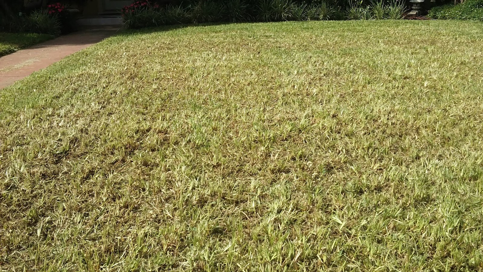 What is Verticutting? The Verticutting Process Start to Finish