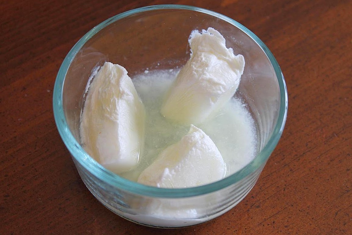 Lilyquilt Frugal Homemade Yogurt Starter