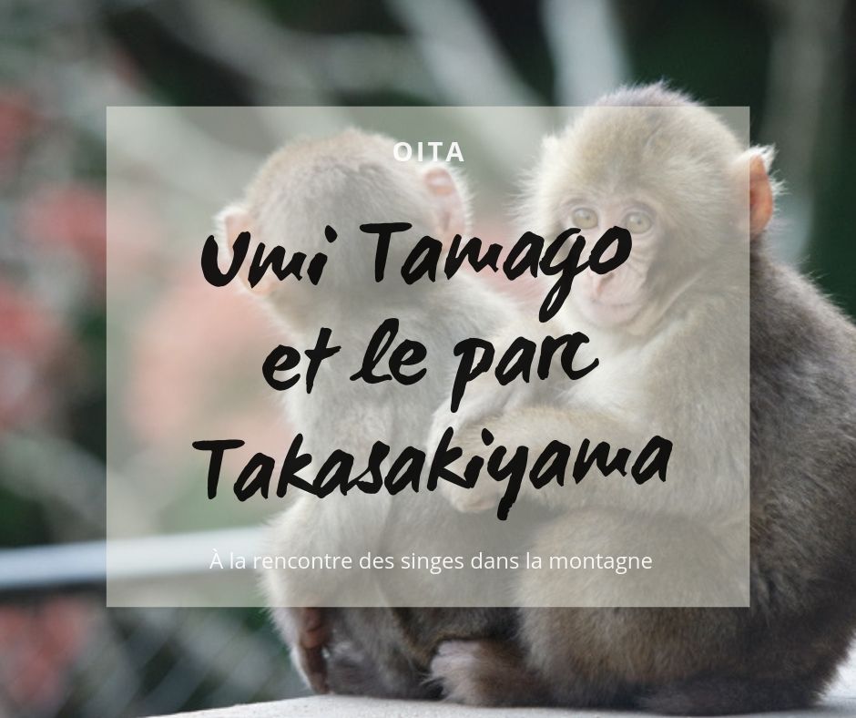 Rencontres des conseils japonais