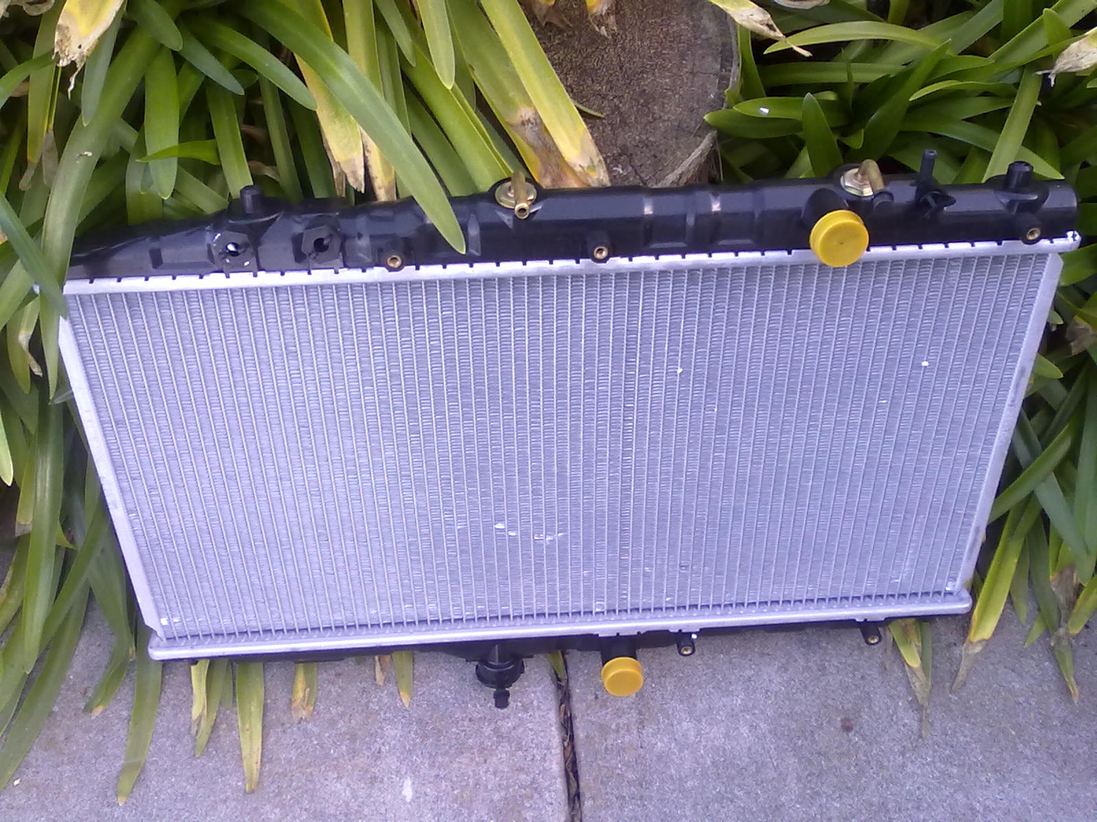 Cat Lover Leaky radiator Corolla