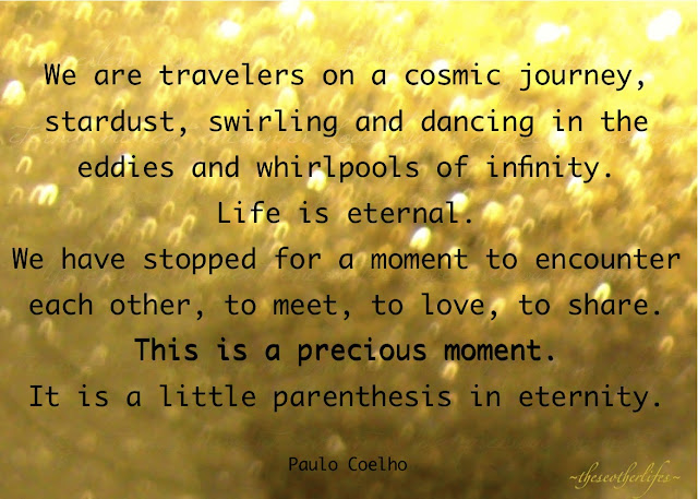 We are travelers on a cosmic journey... - Paulo Coelho